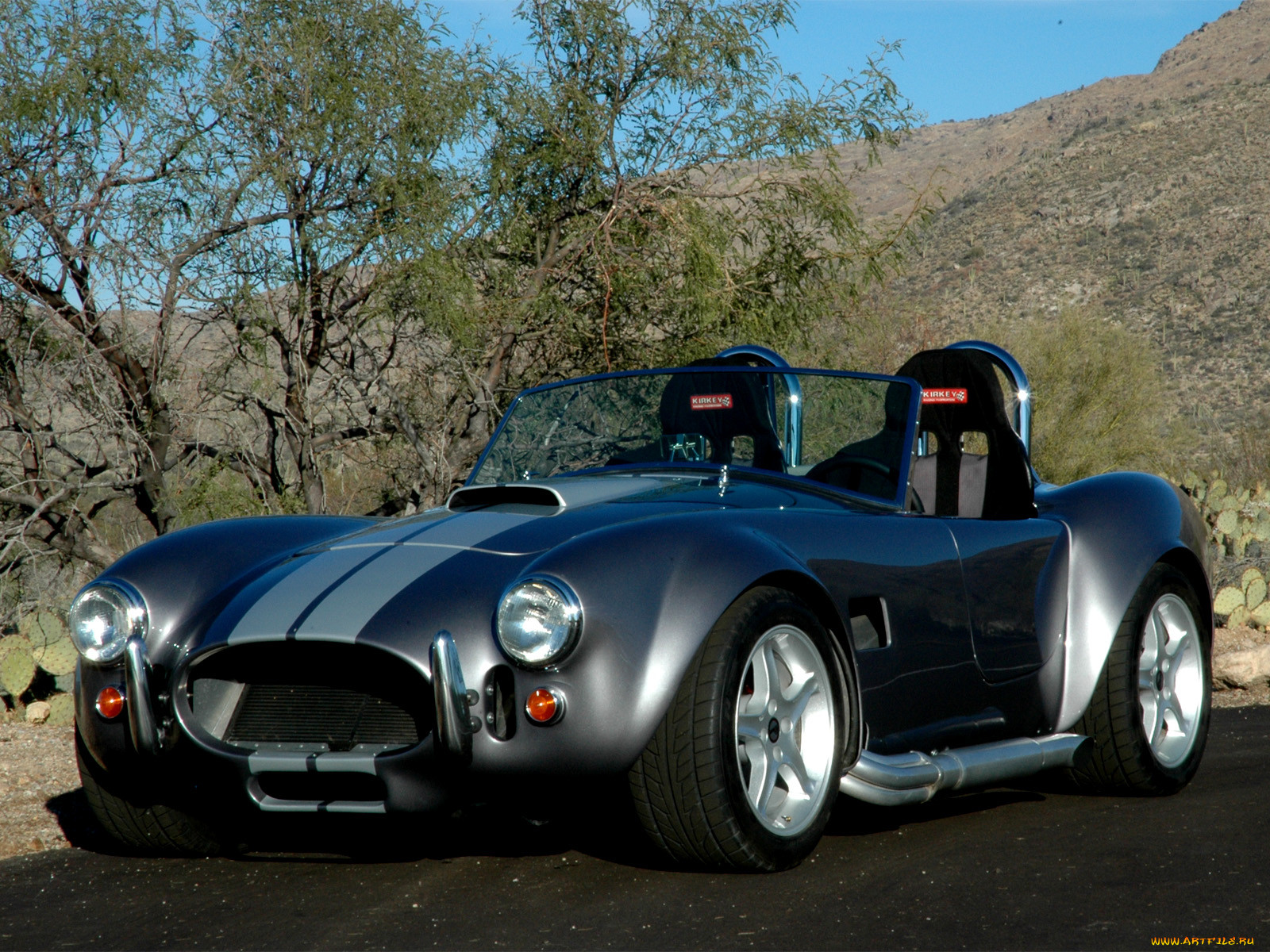 , ac, cobra, shelby